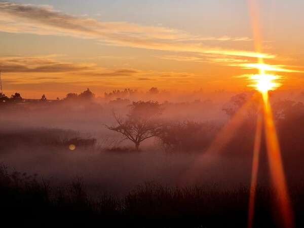 Amanecer frío y con neblina en todo el país este domingo - Clima - ABC Color