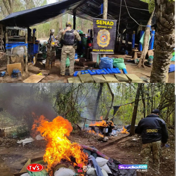 SENAD HALLA CAMPAMENTOS CON LUZ ELÉCTRICA Y MÁS DE 2 TONELADAS DE MARIHUANA EN AMAMBAY - TVS