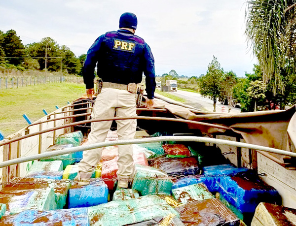 Incautan camión con más de 10 toneladas de marihuana paraguaya que iban a Curitiba - La Clave
