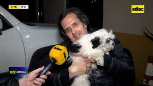 Video: Ni las mascotas se salvan de la inseguridad - ABC Noticias - ABC Color
