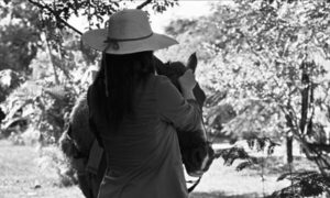 ¿Quién es la famosa que posó semi opívo al lado de un caballo?