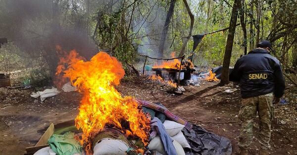 Diario HOY | Detectan narcocampamentos en Bella Vista Norte