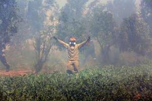 Grecia evacua histórica ciudad Maratón por incendios forestales - Mundo - ABC Color