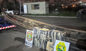 Foz de Yguazú: Detienen a paraguayo que transportaba 100 kilos de marihuana