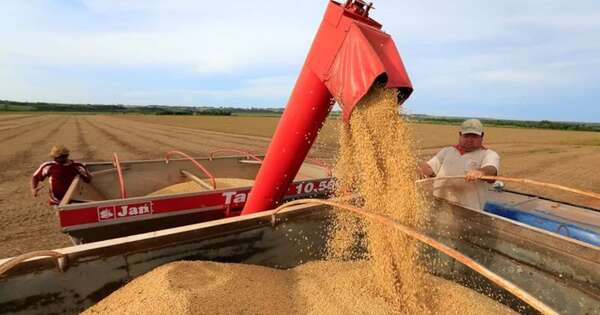 La Nación / Exportaciones mantienen ritmo de crecimiento pese a la caída de los precios
