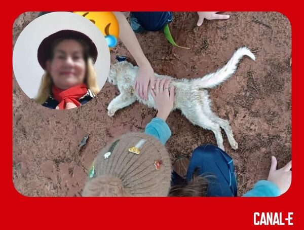 IMPUTAN A SEÑORA POR ENVENENAR A UN GATO