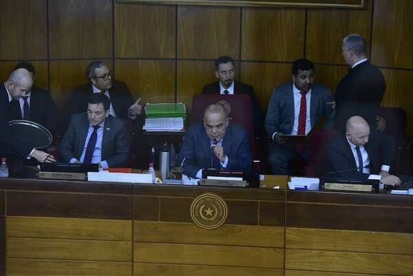 Control a Vapeadores y creaciones masivas de cargos tratará el Senado en dos sesiones - Política - ABC Color