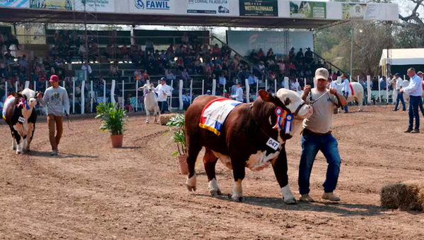 Loma Plata espera: Expo Rodeo Trébol rematará más de 540 animales y espera superar los 25.000 visitantes