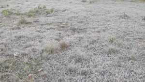 ¡Congelados! Itapúa registra fuertes heladas con descenso de -0,4°C