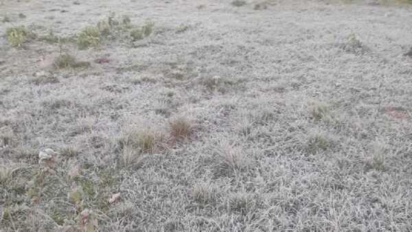 ¡Congelados! Itapúa registra fuertes heladas con descenso de -0,4°C