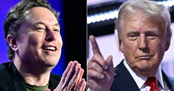 La Nación / Elon Musk conversó con Donald Trump en X pese a ciberataque