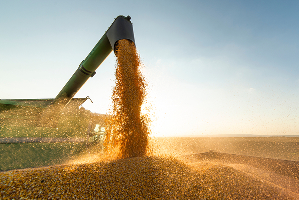Exportaciones mantienen ritmo de crecimiento pese a la caída de los precios