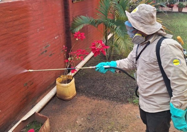 Impulsan acciones para mitigar la Leishmaniasis Tegumentaria en Paraguarí - .::Agencia IP::.