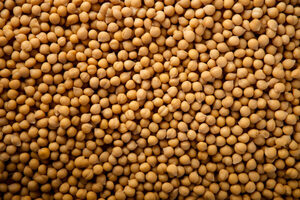 Principales commodities agrícolas mantienen sus precios con tendencia a la baja - MarketData