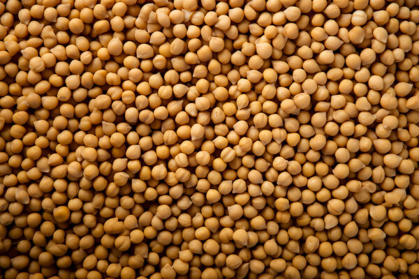 Principales commodities agrícolas mantienen sus precios con tendencia a la baja - MarketData