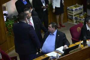 Los tres senadores cartistas que integran la comisión “garrote” - Política - ABC Color