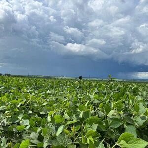 Suelos de alta productividad: Guía efectiva para el cuidado y manejo