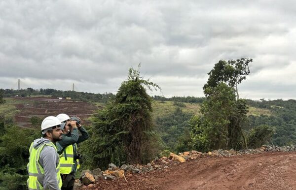 Realizan rescate de fauna y flora en torno a las obras del puente sobre el río Monday