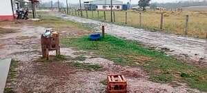 Alto Paraguay: lluvias ayudan a apagar incendios forestales - Noticias del Chaco - ABC Color