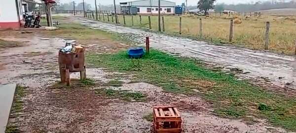 Alto Paraguay: lluvias ayudan a apagar incendios forestales - Noticias del Chaco - ABC Color