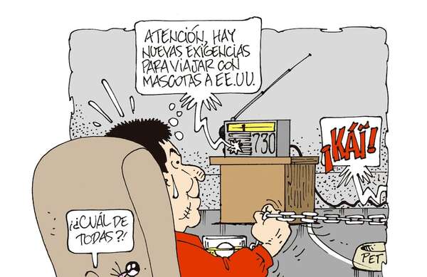 HUMOR - Humor - ABC Color