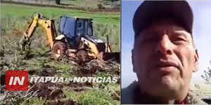 PRODUCTORES DE YERBA MATE DESTRUYEN SUS CULTIVOS POR FALTA DE PRECIO - Itapúa Noticias