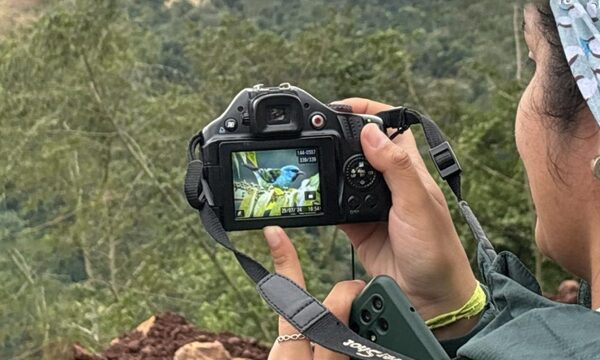 Rescatan fauna y flora halladas en torno a las obras del puente sobre río Monday en Franco – Diario TNPRESS