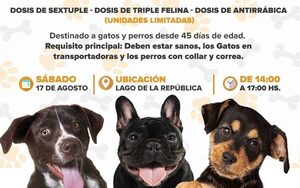 Impulsan jornada de vacunación gratuita para perros y gatos