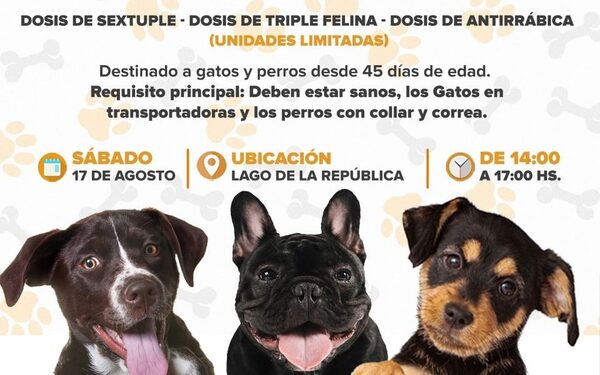 Impulsan jornada de vacunación gratuita para perros y gatos