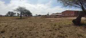 Nueva Terminal de ómnibus en Loma Plata: proyecto listo, pero sin fondos