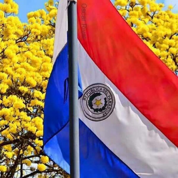 Hoy 14 de agosto se celebra el Día de la Bandera