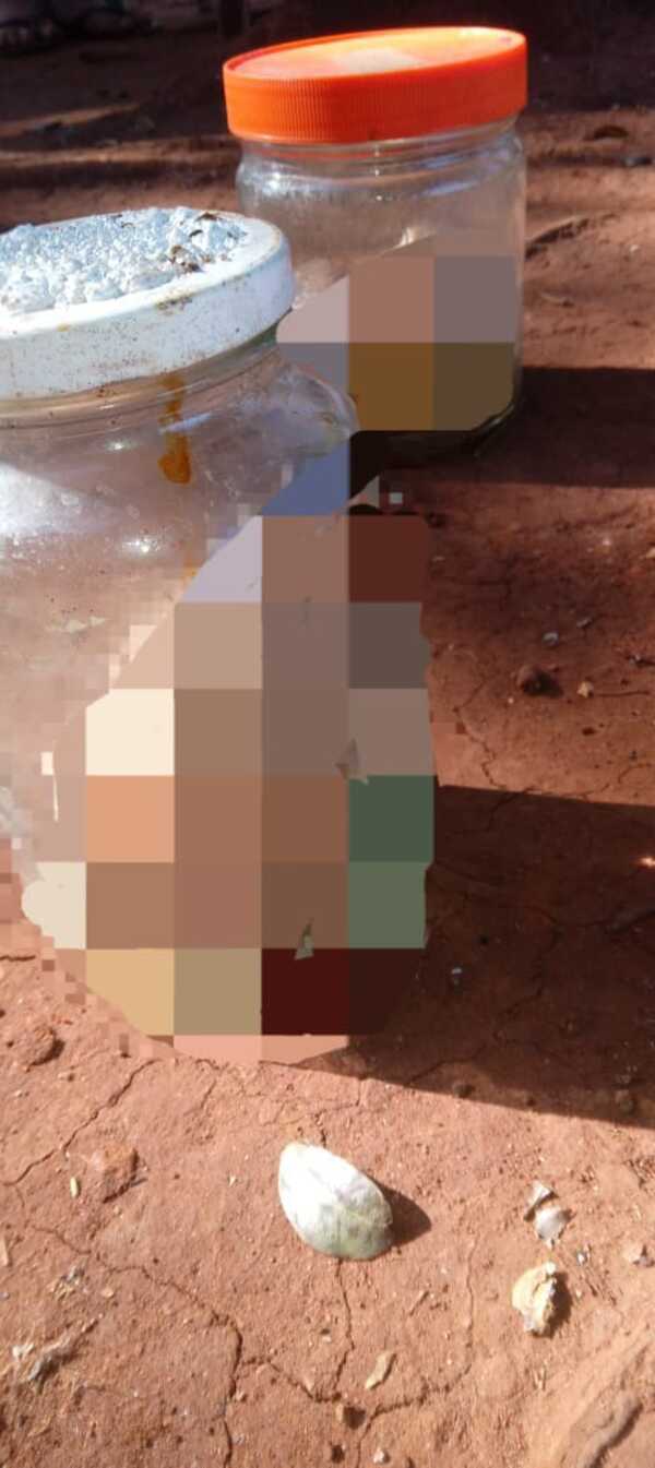 Encuentran dos fetos en un basural de Hernandarias - ADN Digital