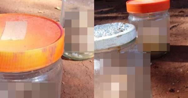 Diario HOY | Hallan dos fetos en frascos de vidrio