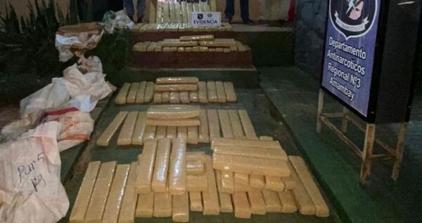 Destrucción de Cultivos de Marihuana en María Auxiliadora: Un Operativo Antinarcóticos Exitoso