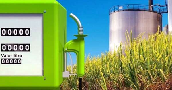 La Nación / Biocap aboga por equilibrio en utilización de materias primas para biocombustibles