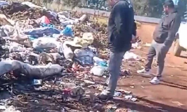 Dos fetos en frascos son encontrados entre basura en Hernandarias – Prensa 5