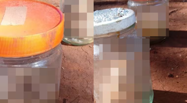 Hallan dos fetos en frascos de vidrio en un basural en Hernandarias - Noticiero Paraguay
