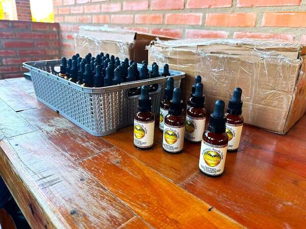 Fiscal analiza imputación por comercialización y producción de ayahuasca en Paraguarí - Nacionales - ABC Color
