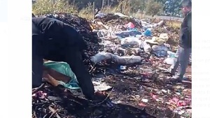 Hallan dos fetos en un baldío de Hernandarias - Noticias Paraguay