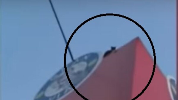 Bomberos rescataron a un gato que se quedó en lo alto de un cartel en Luque