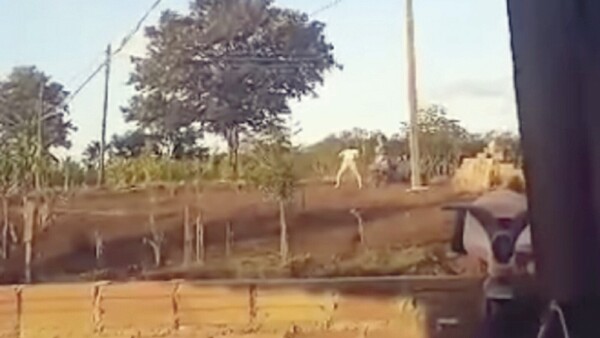 Perdió a su bebé y culpa a una vecina acosadora