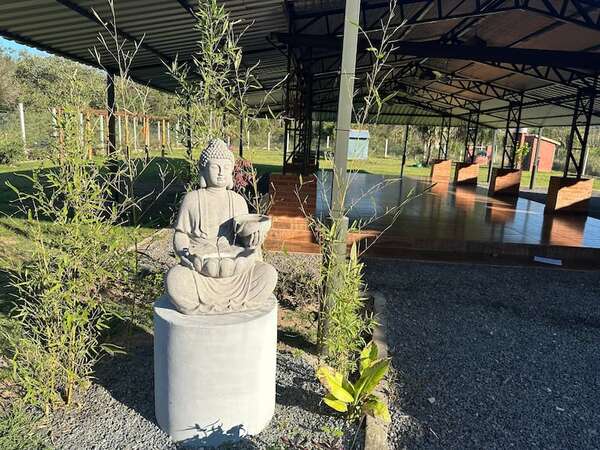 Ayahuasca: 53 personas participaron del “ritual” que provocó un caso grave de psicosis - Nacionales - ABC Color