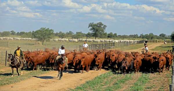 La Nación / ARP destaca importancia de regularización de tenencia de tierras