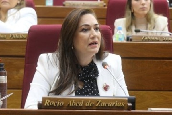 Rocío Abed valora resultados positivos del primer año de gobierno de Santiago Peña - ADN Digital