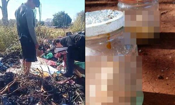 Reciclador halla dos fetos dentro de frascos de vidrios en un basural de Hernandarias – Diario TNPRESS