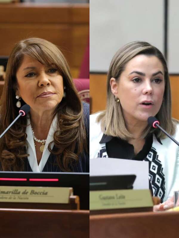 Celeste culpa a Nenecho de que Asunción esté “fea y ultrajada” y Lizarella responsabiliza a morosos - Política - ABC Color