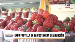 Feria de frutilla engalana el aniversario de Asunción - Noticias Paraguay
