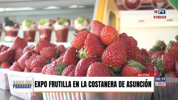Feria de frutilla engalana el aniversario de Asunción - Noticias Paraguay