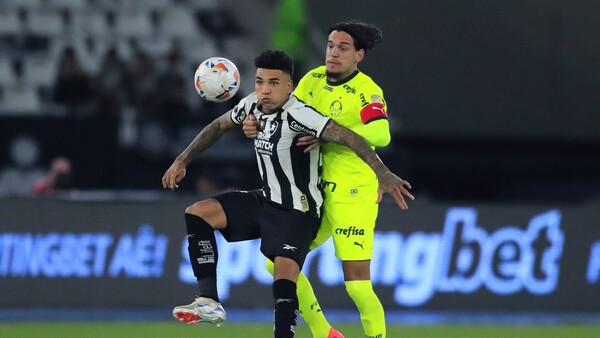 Botafogo vence al Palmeiras de Gustavo Gómez y saca ventaja