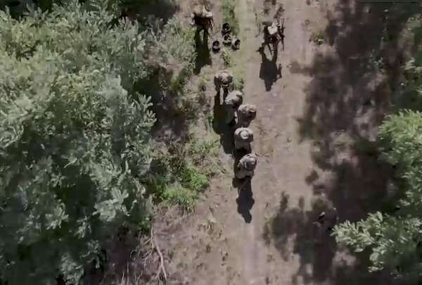 Ucrania anuncia la “mayor captura” de prisioneros rusos - Mundo - ABC Color